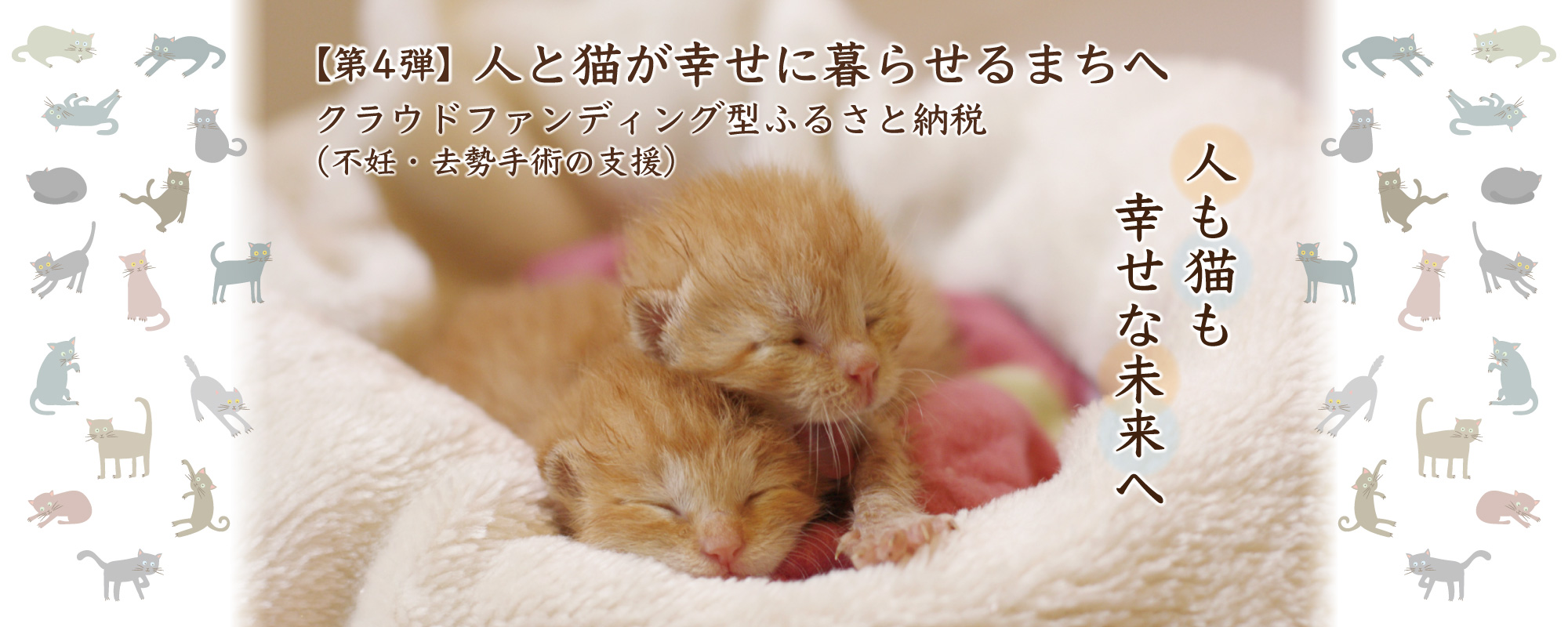 人と猫が幸せに暮らせるまちへクラウドファンディング