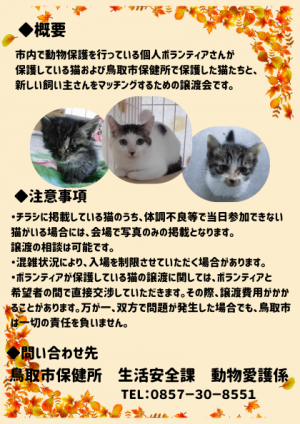 【裏面】第七回保護猫譲渡会