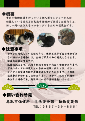 第九回保護猫譲渡会ウラ面