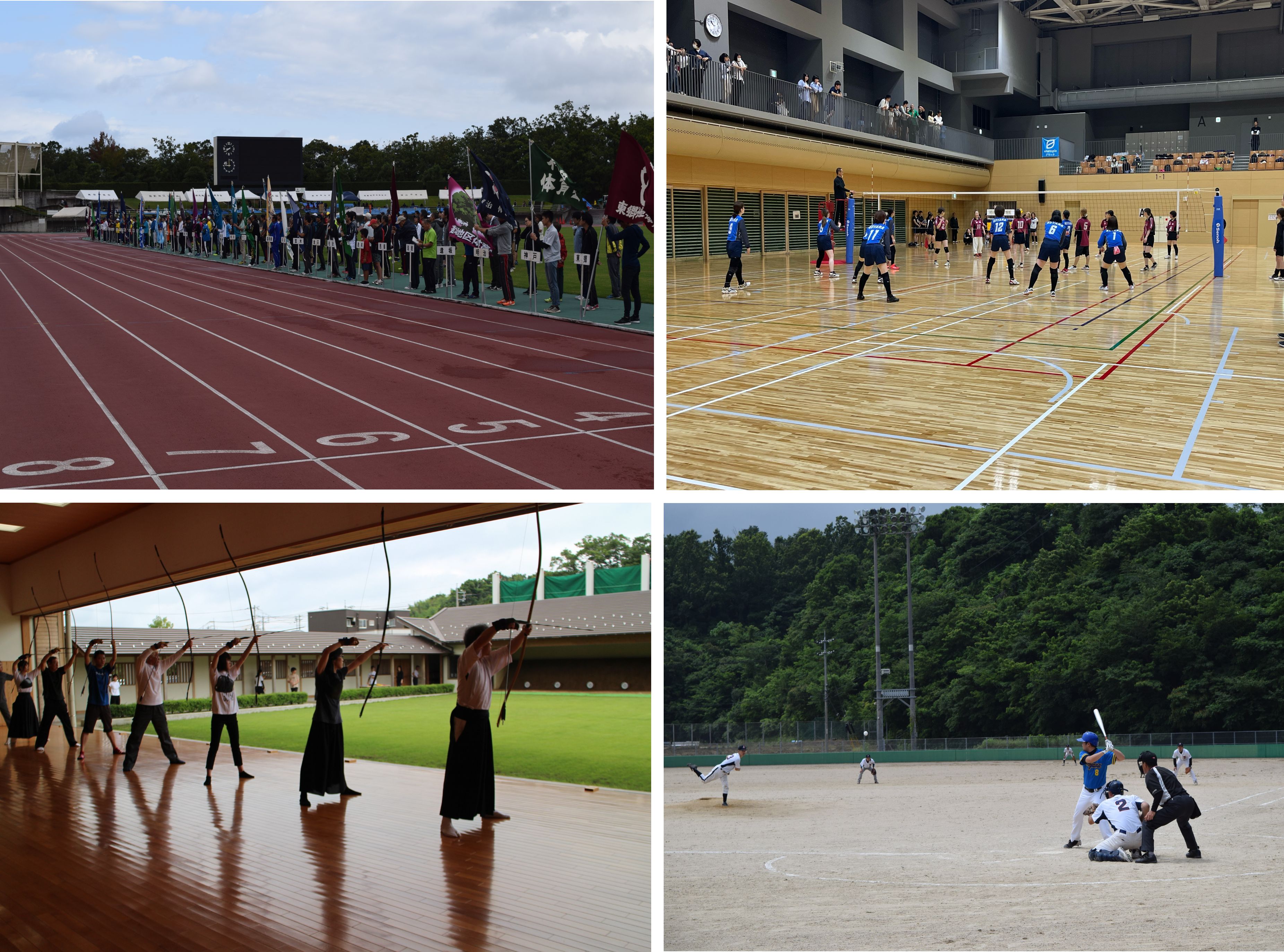 鳥取市民スポーツ大会の様子