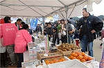 参考写真