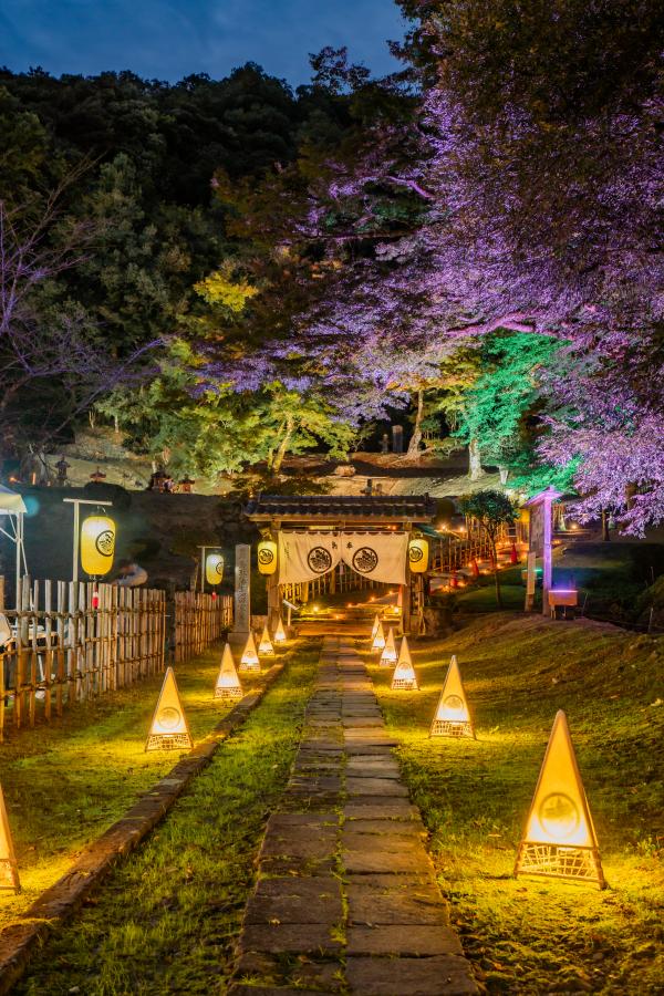 一夜の灯し火