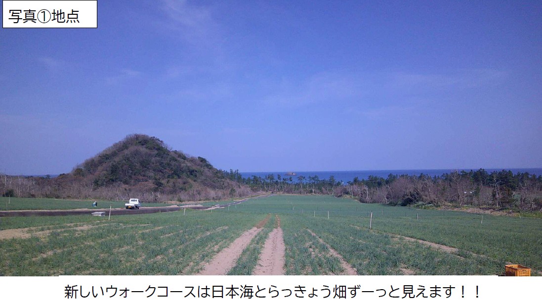 折返し写真