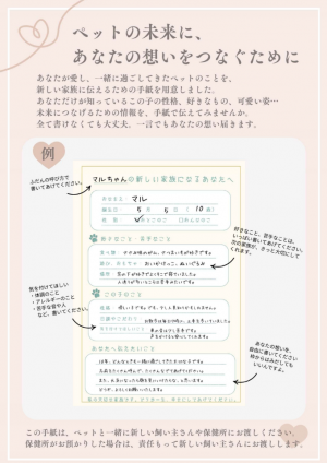 医療機関用ちらし(2)