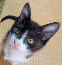 パー子の写真