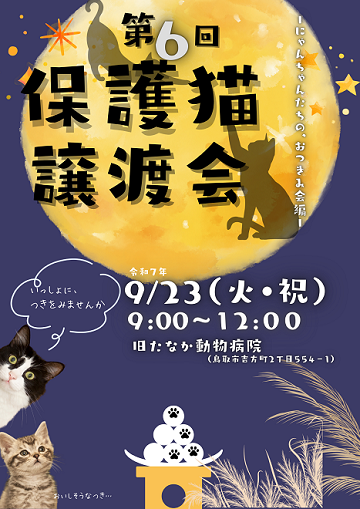 9月 第六回保護猫譲渡会 ~にゃんちゃんたちの、おつまみ会編~ の画像1