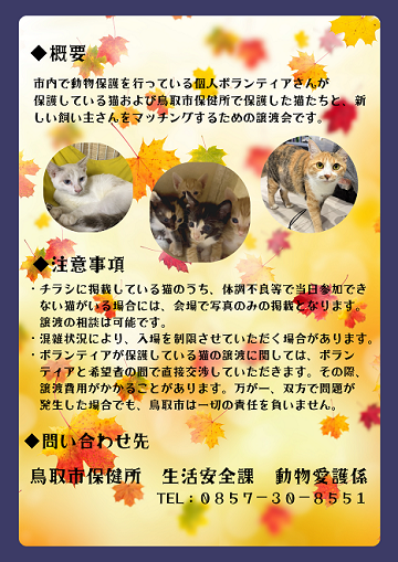 9月 第六回保護猫譲渡会 ~にゃんちゃんたちの、おつまみ会編~ の画像2