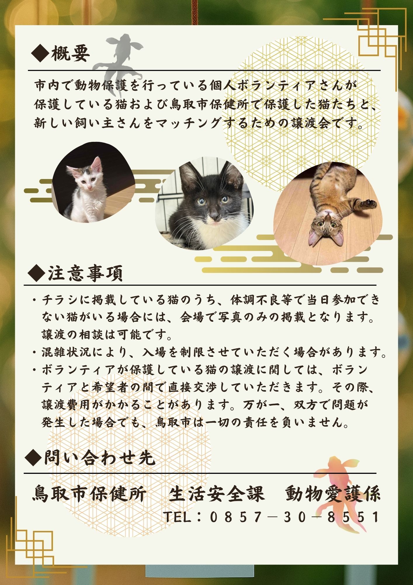 8月 第五回保護猫譲渡会 ~出逢いの音色 風鈴編~ の画像2