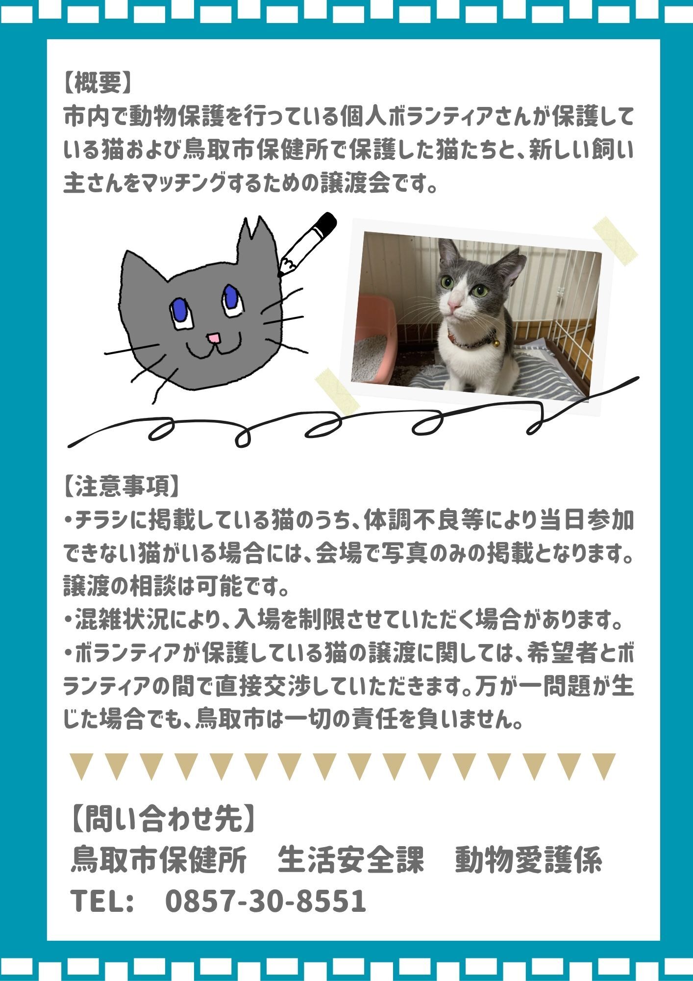 7月 第四回保護猫譲渡会 ~にゃつ(夏)休みの思い出編~ の画像2