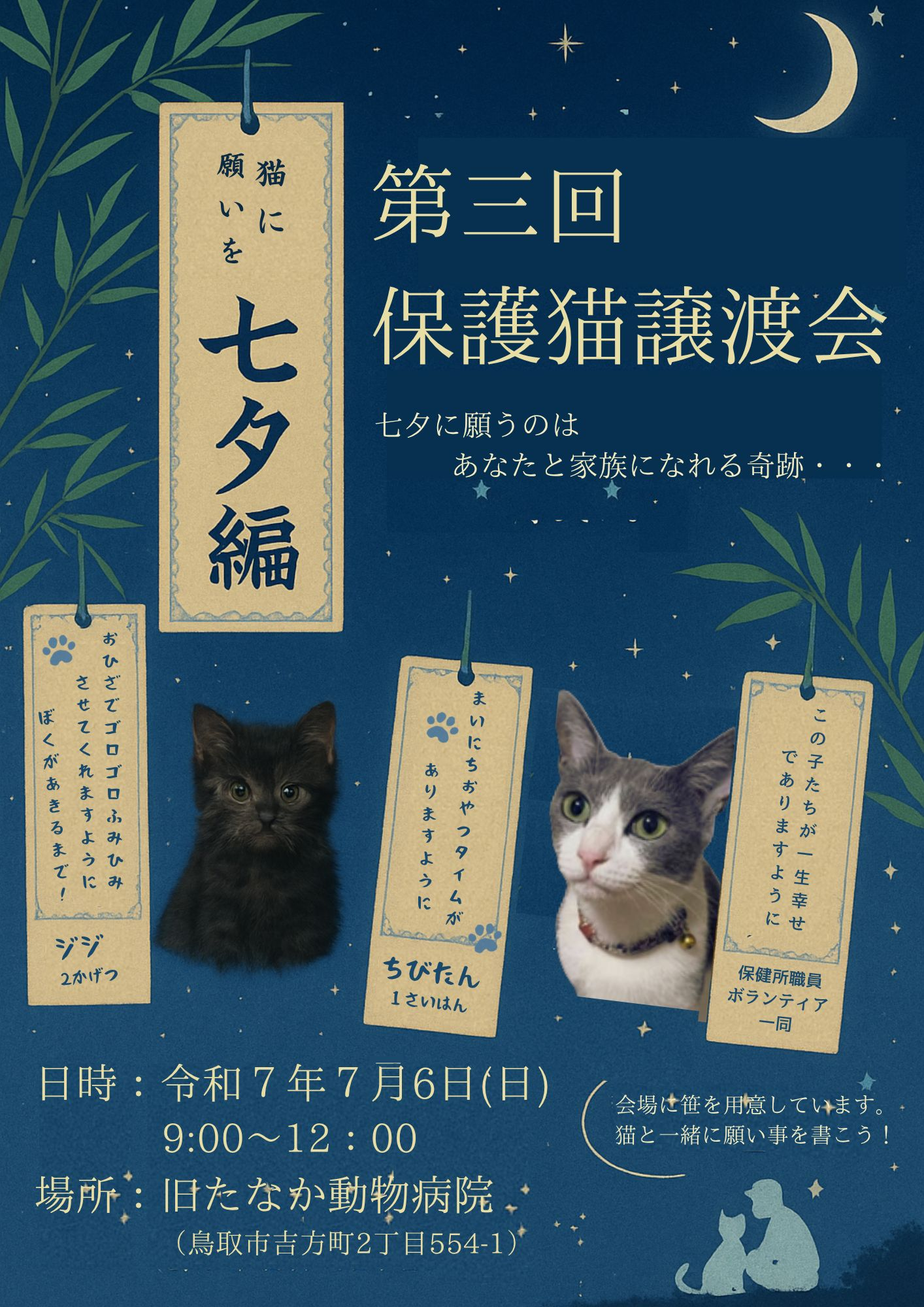 7月 第三回保護猫譲渡会 ~猫に願いを 七夕編~ の画像1