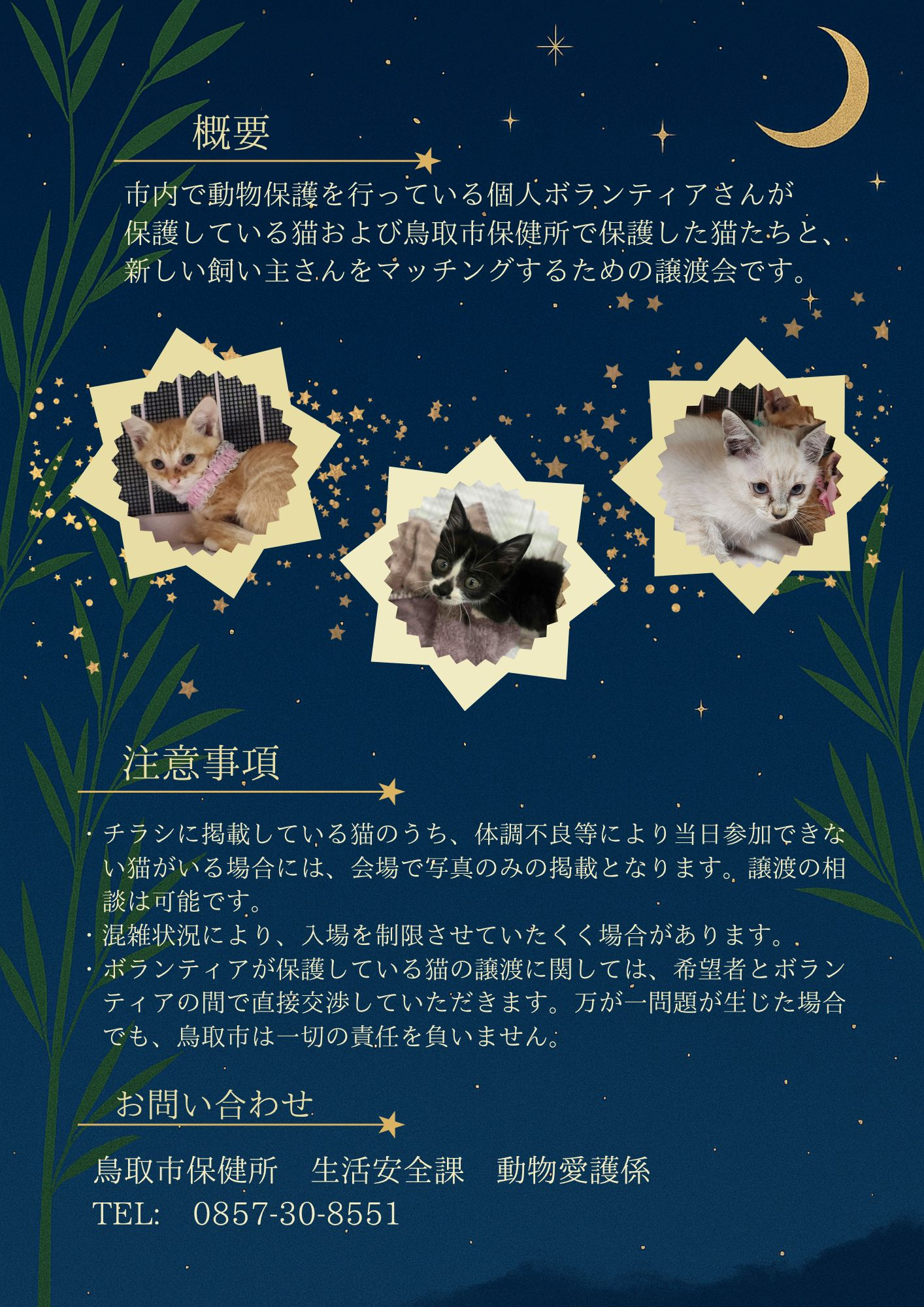 7月 第三回保護猫譲渡会 ~猫に願いを 七夕編~ の画像2