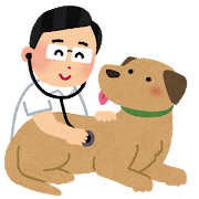 ペットの災害対策についての画像12