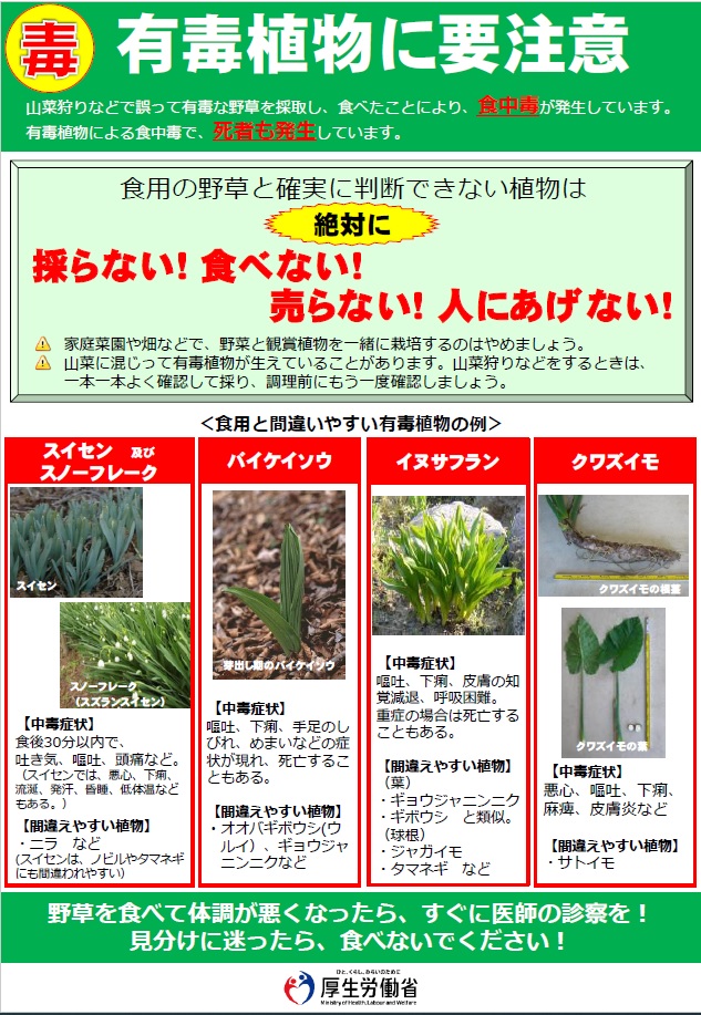 有毒植物リーフレットの画像1