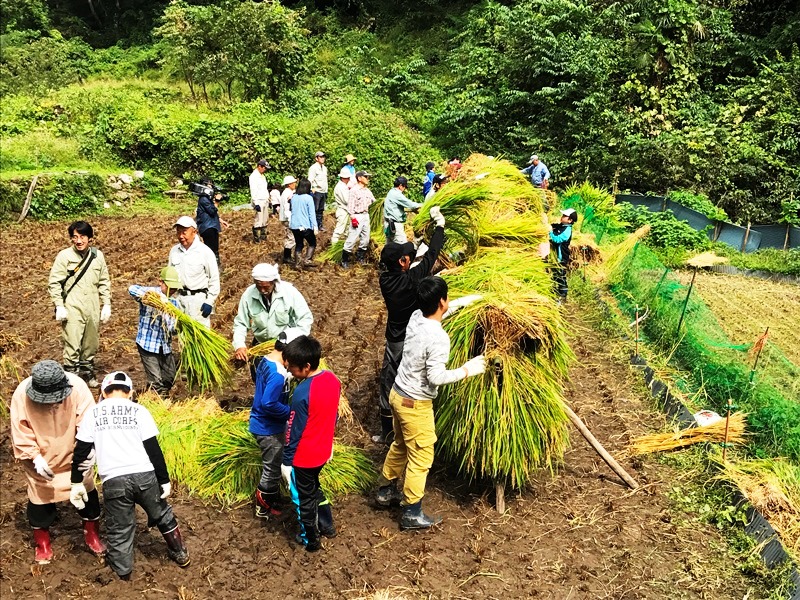 佐治町福園地区　過去の活動状況の画像3