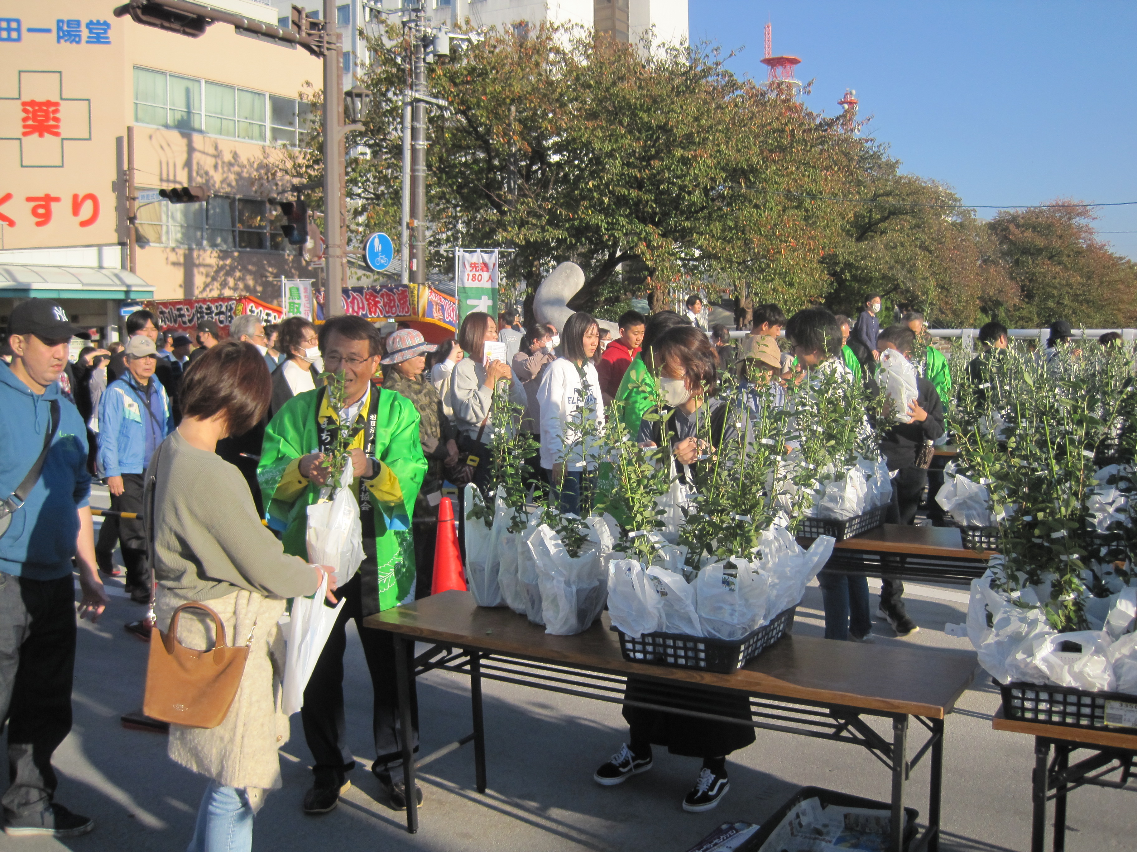 第47回鳥取市木のまつりの画像2