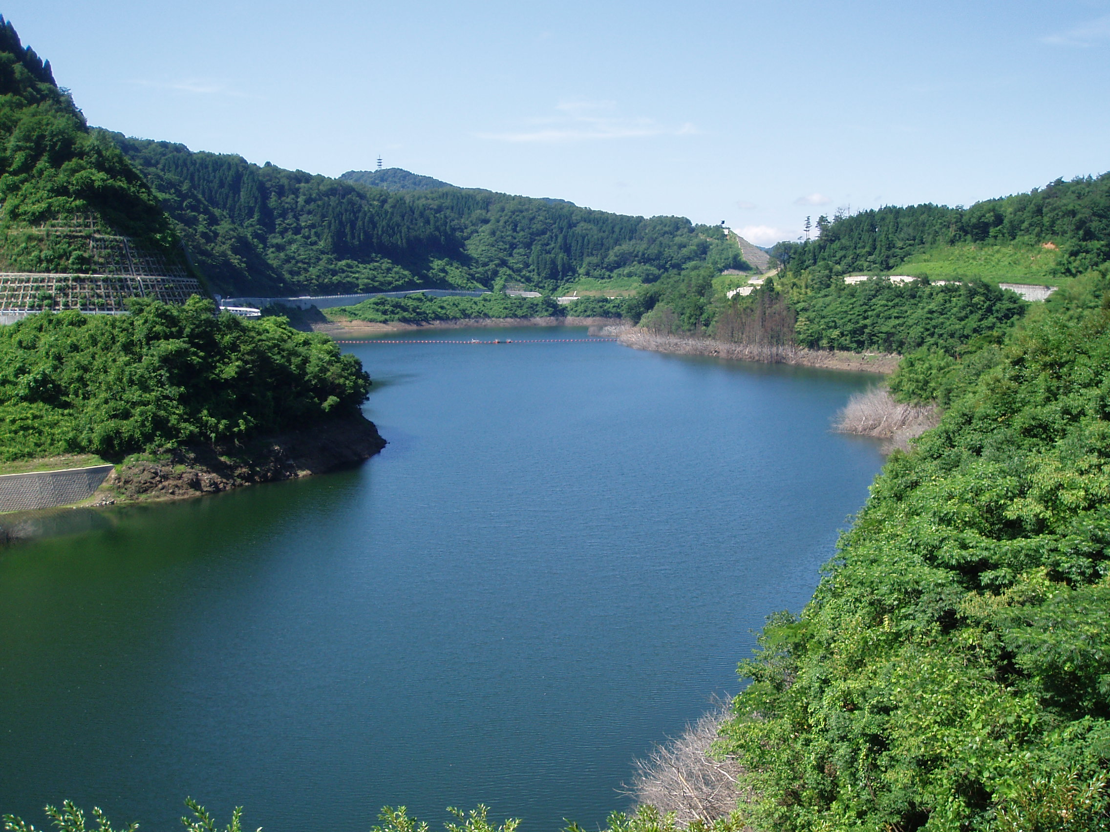 殿ダムの画像2