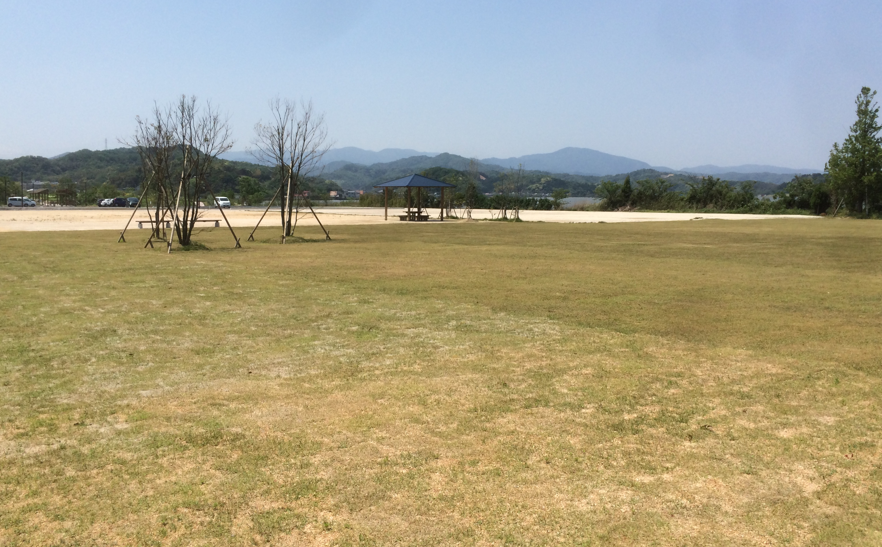 湖山池公園お花畑ゾーン(湖山池オアシスパーク)の画像
