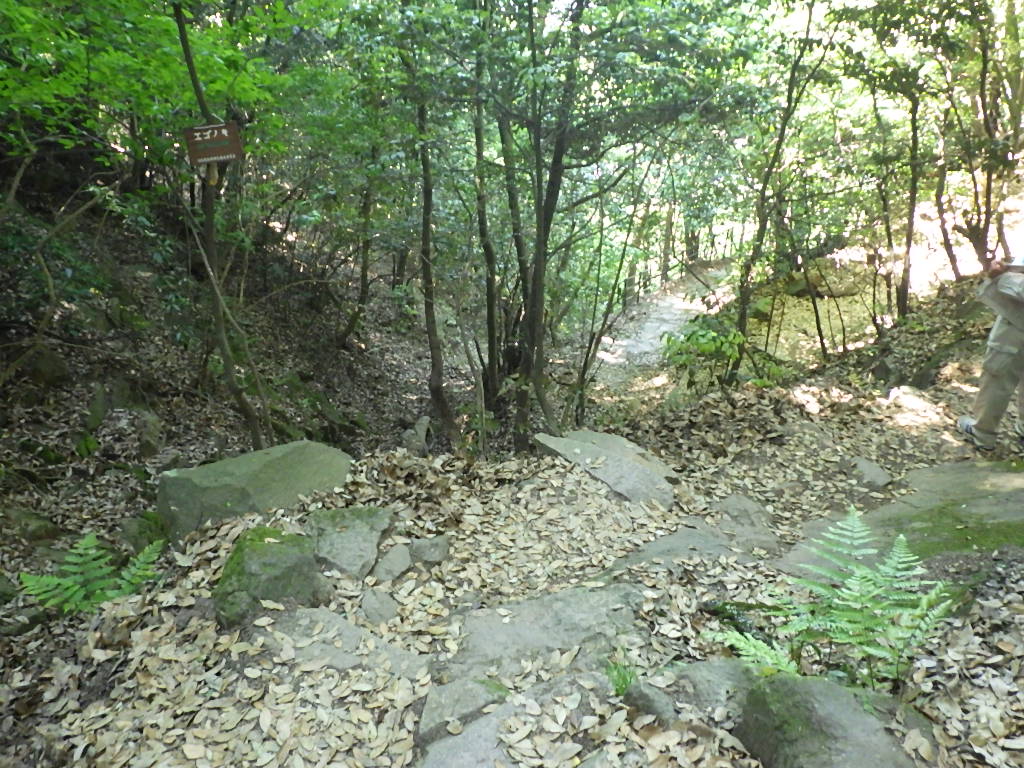 久松山登山道についての画像2