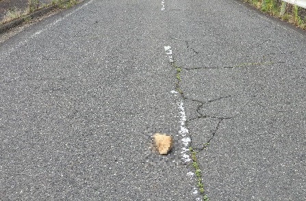 落石の画像