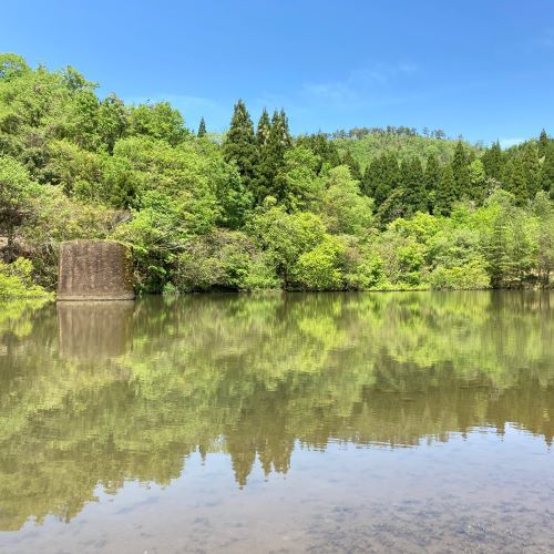 鳥取の新緑の撮影スポット、美歎(みたに)水源地の画像5