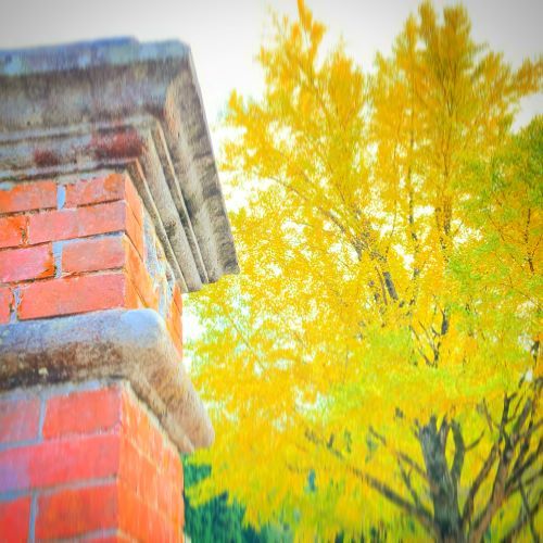 鳥取の紅葉スポット美歎(みたに)水源地の画像3