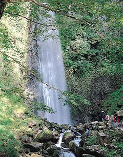 雨滝の画像