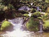 筥滝 (はこだき)の画像