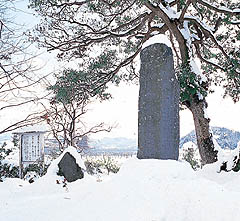 大伴家持歌碑の画像