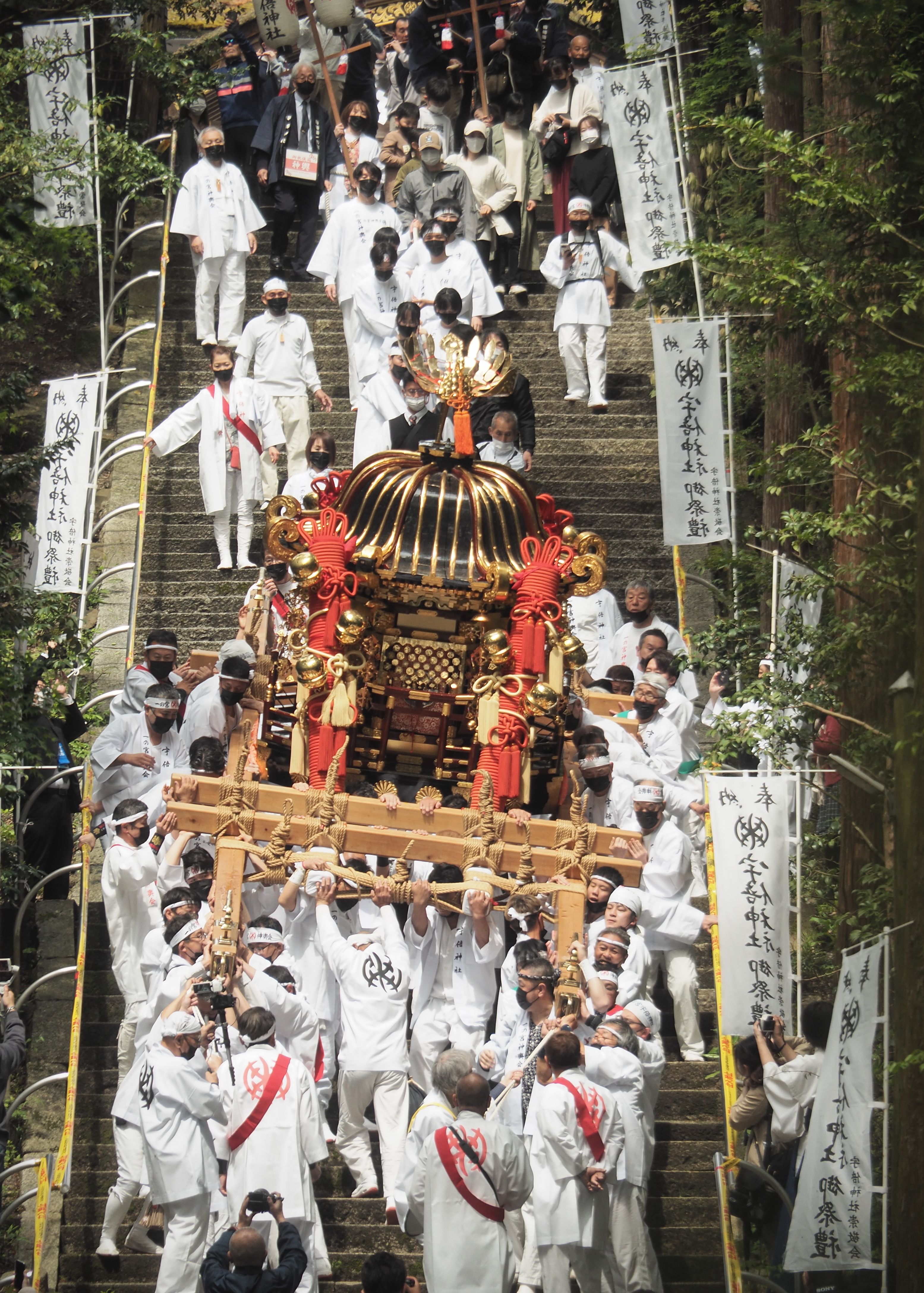 圧巻の画像