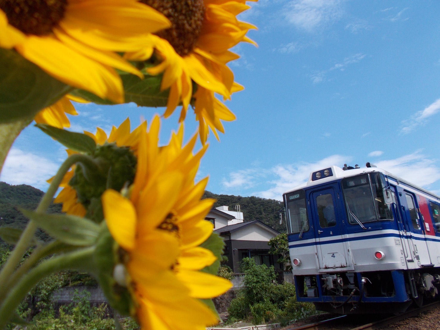 用瀬「夏」突入!の画像