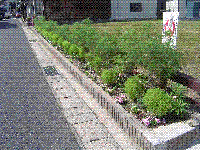 狐川 飾花活動3