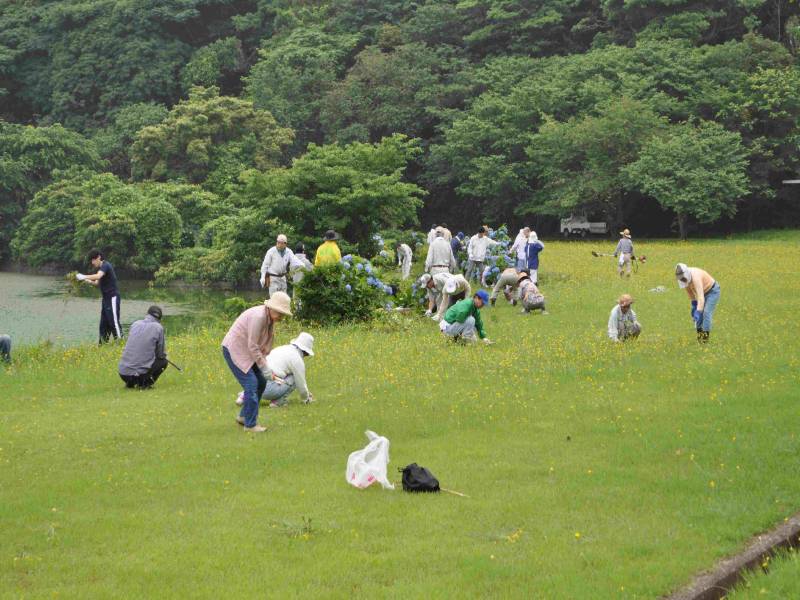 湖山池を守る会 美化活動3