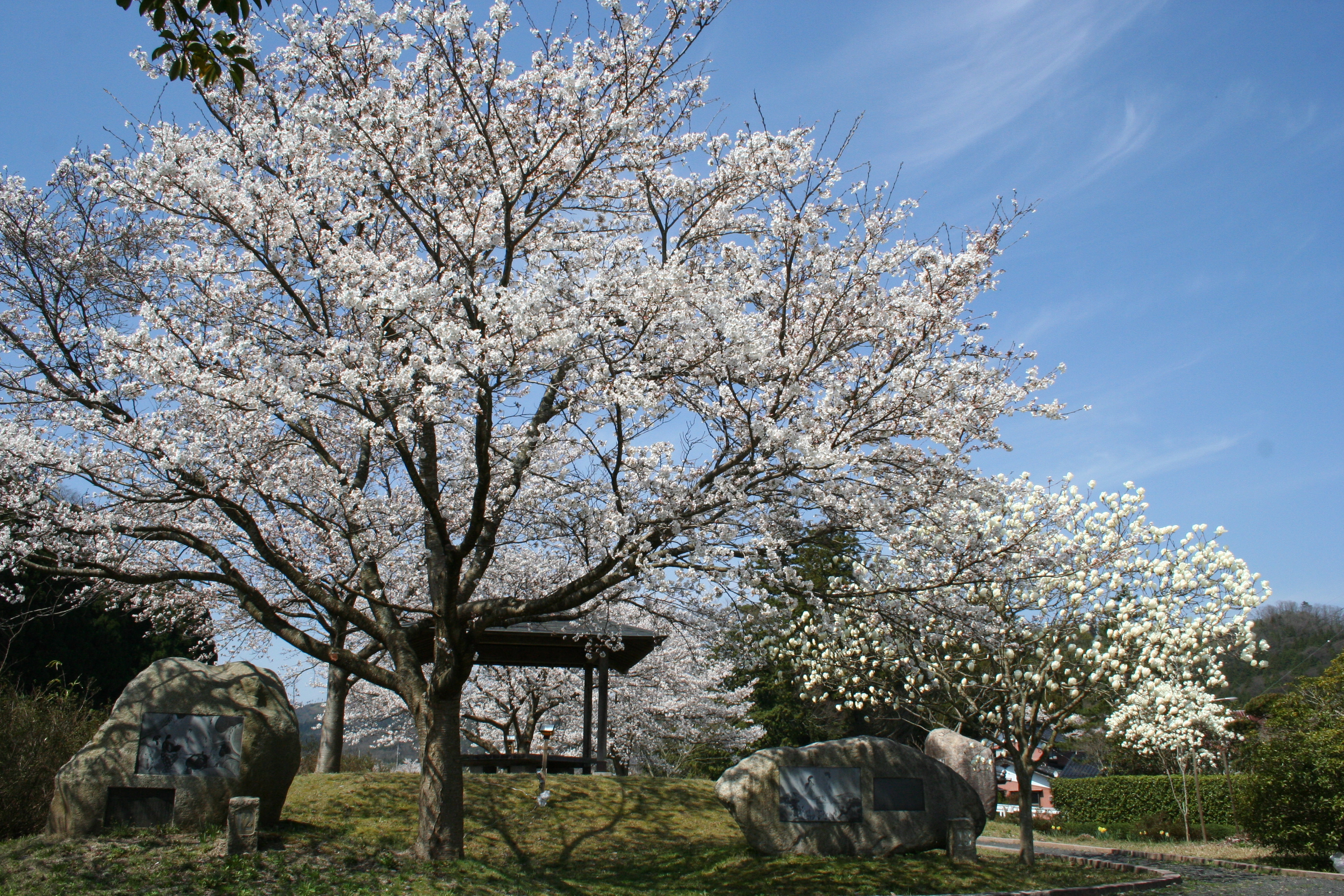 八上姫公園
