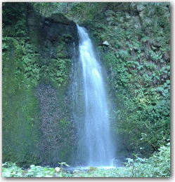 御滝山 不動山の画像