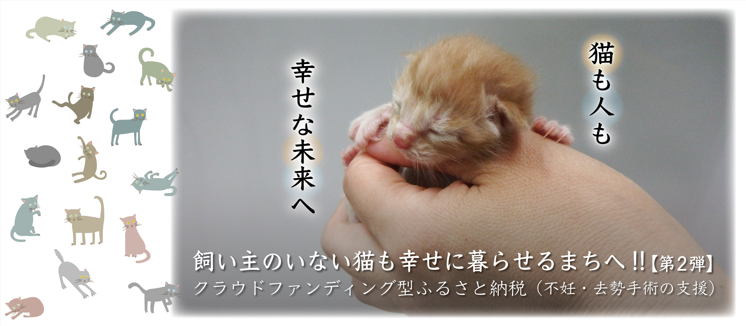 クラウドファンディング型ふるさと納税「飼い主のいない猫も幸せに暮らせるまちへ！！」【第2弾】