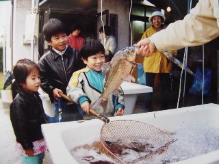 湖山池おさかな市で