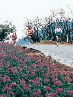 表紙写真：赤紫色のフラワーロードを走りぬける～新しく市の花に選定された、らっきょうの花の中で行われた「第19回ふくべらっきょう・花マラソン大会」