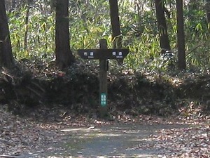 分岐