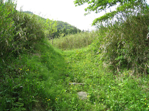 石畳道頂上
