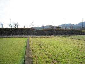 千代川さくらづつみ公園
