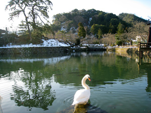 鹿野城のお堀