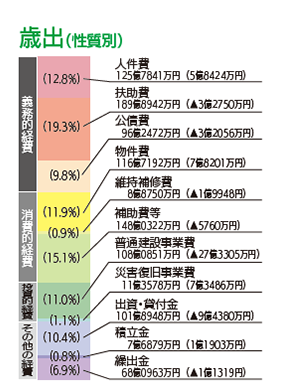 グラフ：歳出（性質別）