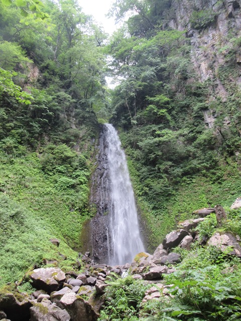 作品名　大迫力！夏の雨滝