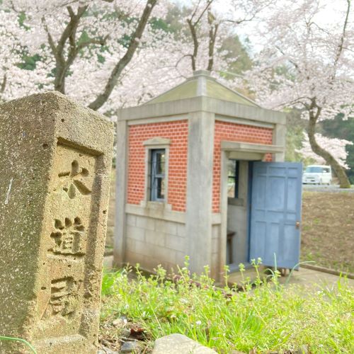 鳥取の桜の名所、美歎(みたに)水源地