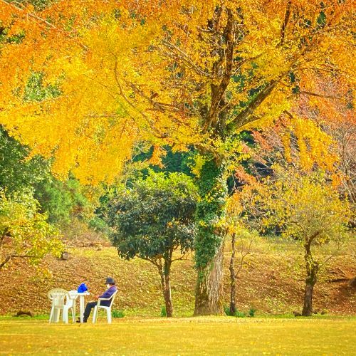 鳥取の紅葉スポット美歎（みたに）水源地