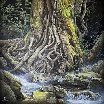 古木と水の絆