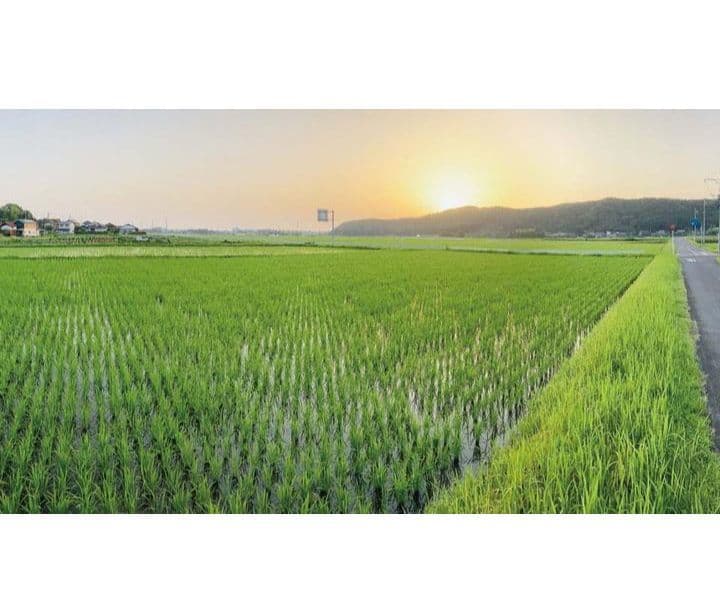 田園風景