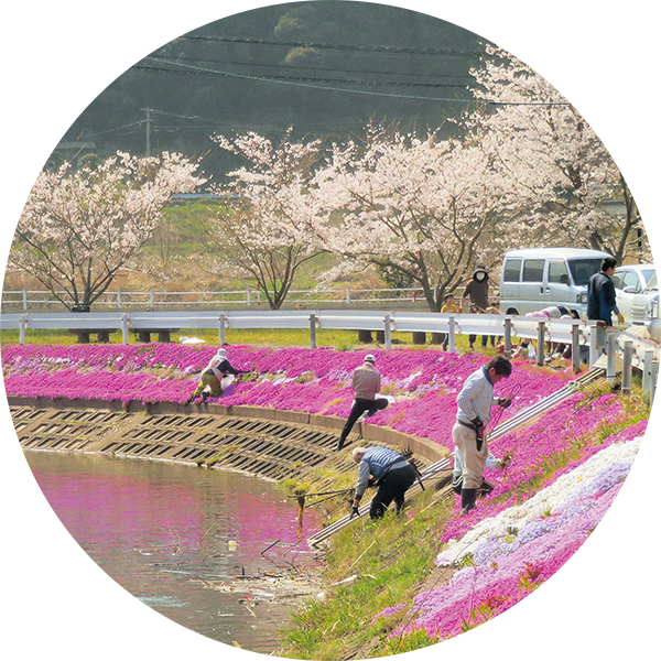 植栽の手入れ
