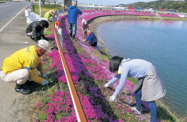 植栽の手入れ